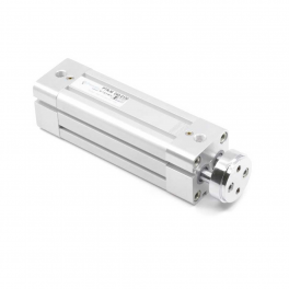 Двухштоковый пневмоцилиндр PTRM-100-160 Pemaks