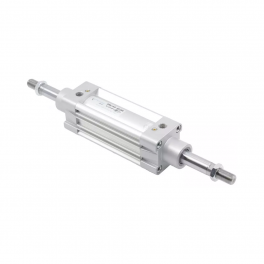 Пневмоцилиндр DMC-100-DYA-0165 Pemaks